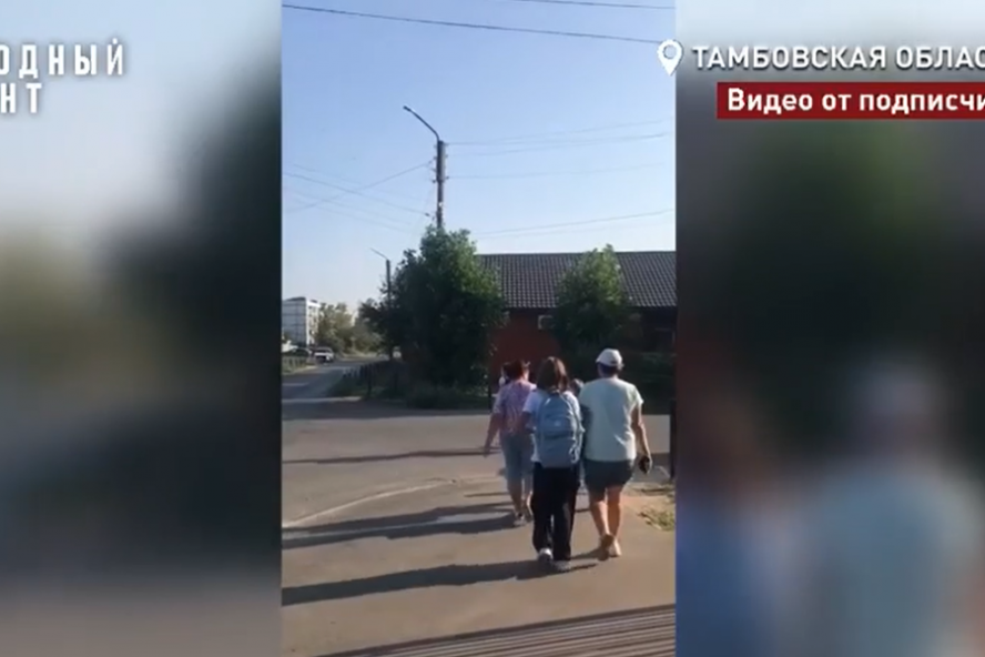 Родители жалуются на отсутствие "зебры" возле школы и детского сада на улице Новикова-Прибоя