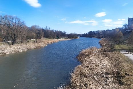 В реках Тамбовской области отмечается понижение уровня воды