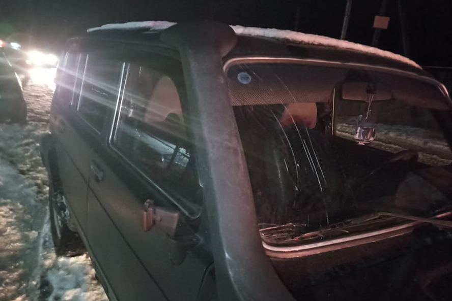 В Тамбовской области водитель "Нивы" сбил пешехода