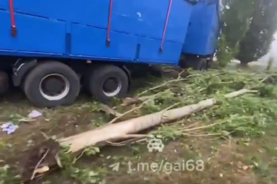 В Тамбове задержали угонщика грузовика, снесшего дорожный знак и несколько деревьев