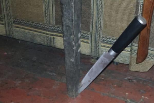 Житель Мучкапского района ударил ножом родного брата
