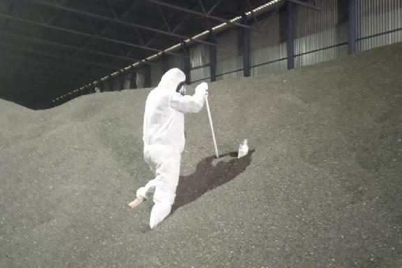 Тамбовские специалисты обработали от вредителей более 5 тысяч тонн зерна