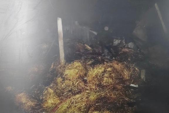 Житель Уваровского округа сжёг сарай соседа