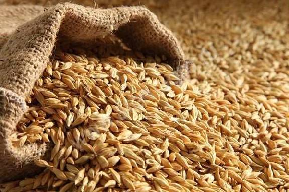 В Токарёвском районе мошенник украл зерно на 450 тысяч рублей
