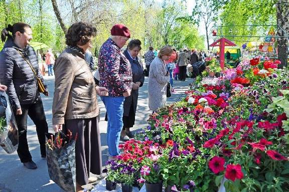 На фестивале цветов в Тамбове организуют Аллеи фиалок и роз