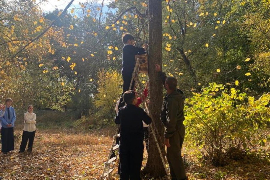 В Ахлебиновской роще на юге Тамбова появились беличьи столовые