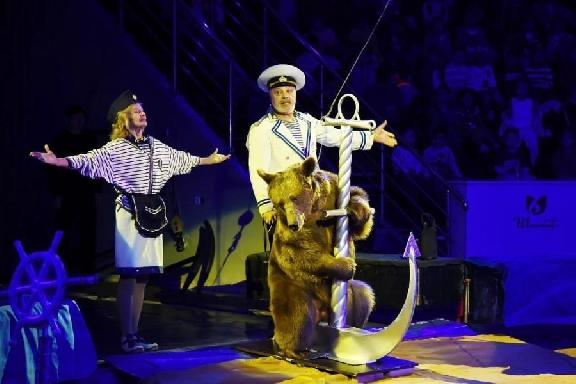 В Тамбов приедет цирк "Арена-Ягуар" с премьерой шоу "Летучий корабль"