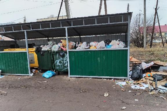 Власти Тамбова обещают жаловаться в прокуратуру на некачественный вывоз мусора