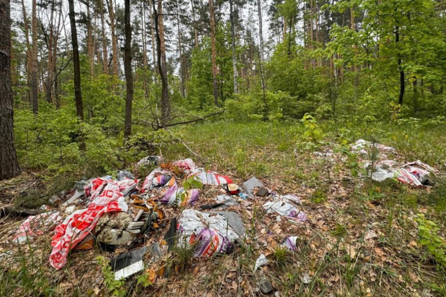 Под Тамбовом в лесу выявили несанкционированную свалку мусора