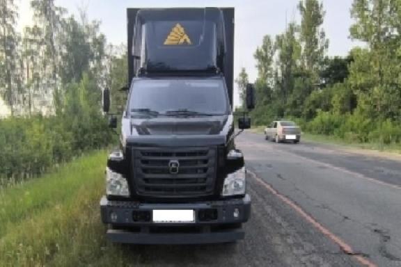 В Тамбовской области пикап протаранил грузовик: есть пострадавший