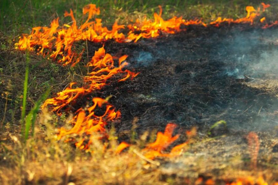 В Тамбовской области ожидается установление высокой пожароопасности 