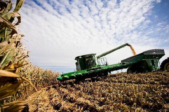 Тамбовские фермеры получили 51 млн рублей на развитие хозяйств