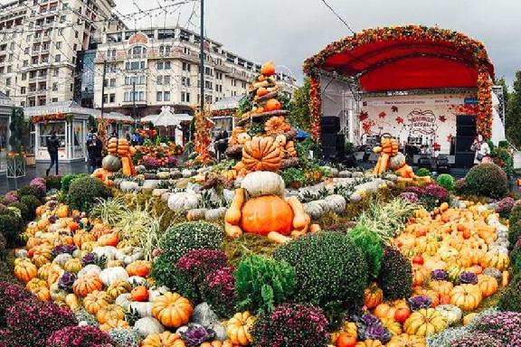 Власти Тамбовской области готовятся принять участие в выставке 