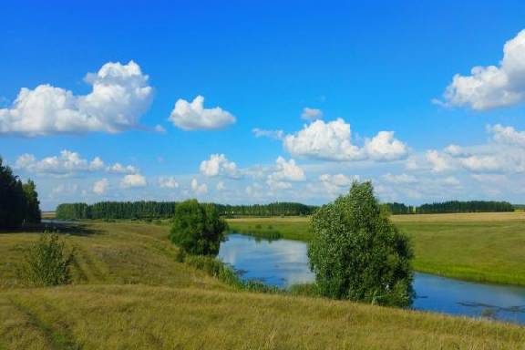 В Тамбовской области пройдут Дни защиты от экологической опасности