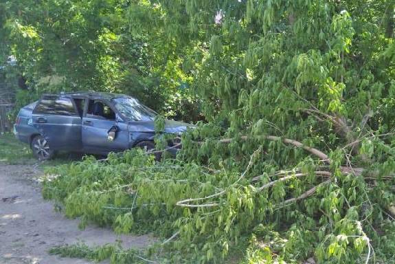 В Уварово водитель ВАЗа врезался в дерево: есть пострадавший