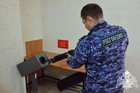 В Тамбовской области изъяли 13 единиц оружия