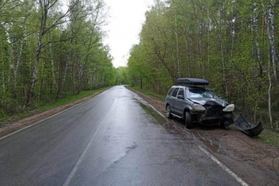 В Моршанском округе "Honda" слетела с дороги и врезалась в дерево